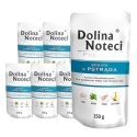 Dolina Noteci Premium karma mokra dla psa z pstrągiem 10x150g