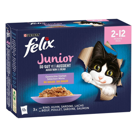 Felix Fantastic Junior karma mokra dla kota wybór smaków w galaretce 12x85g