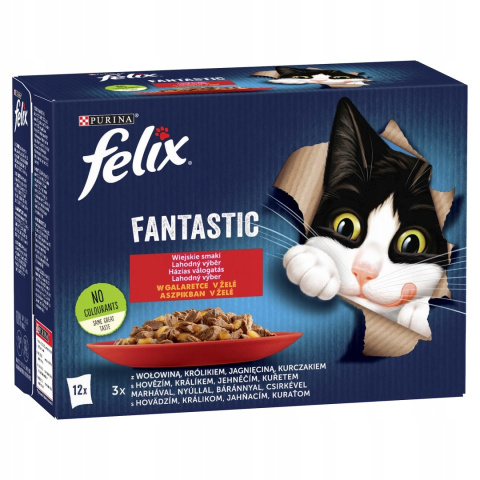 Felix Fantastic karma mokra dla kota wiejskie smaki 12x85g