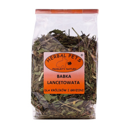 Herbal Pets Babka lancetowata 70g