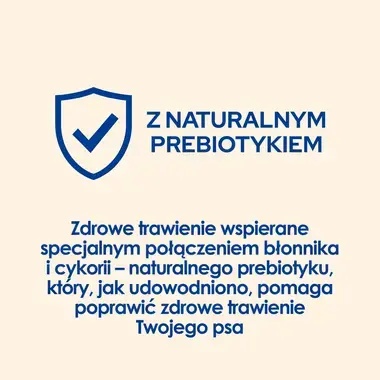 Purina Dog Chow Adult Light z indykiem 14kg