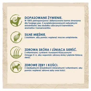 Purina Dog Chow Adult z jagnięciną 14kg