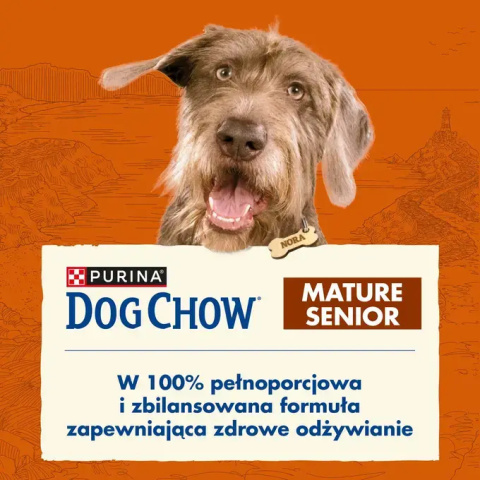 Purina Dog Chow Mature Senior z jagnięciną 14kg