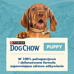 Purina Dog Chow Puppy z jagnięcina 14kg