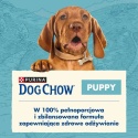Purina Dog Chow Puppy z kurczakiem 14kg