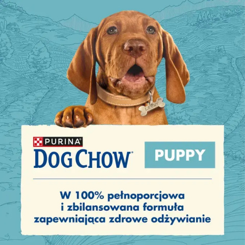 Purina Dog Chow Puppy z kurczakiem 14kg