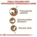 ROYAL CANIN Senior Ageing 12+ 4kg