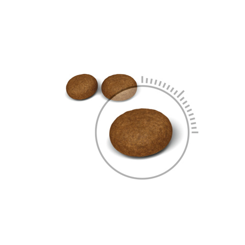ROYAL CANIN Hair & skin Care 10kg
