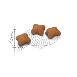 ROYAL CANIN Kitten 10kg