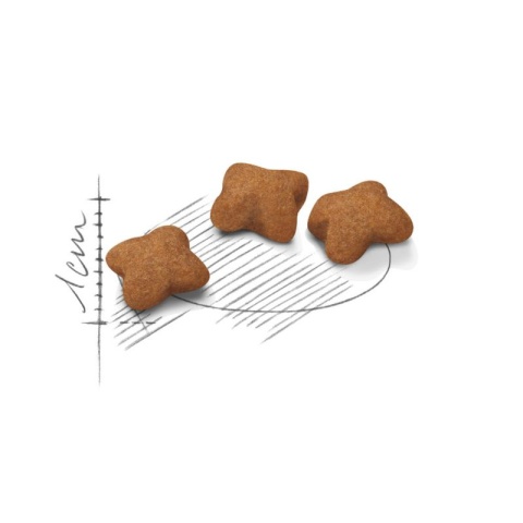 ROYAL CANIN Kitten 10kg