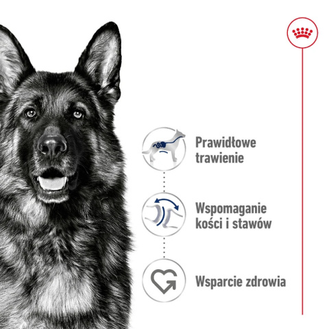 ROYAL CANIN Maxi Adult 10kg