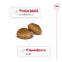 ROYAL CANIN Maxi Adult 10kg