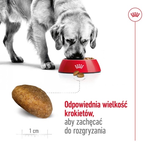ROYAL CANIN Maxi Adult 10kg