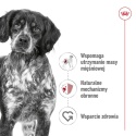ROYAL CANIN Medium Adult 10kg
