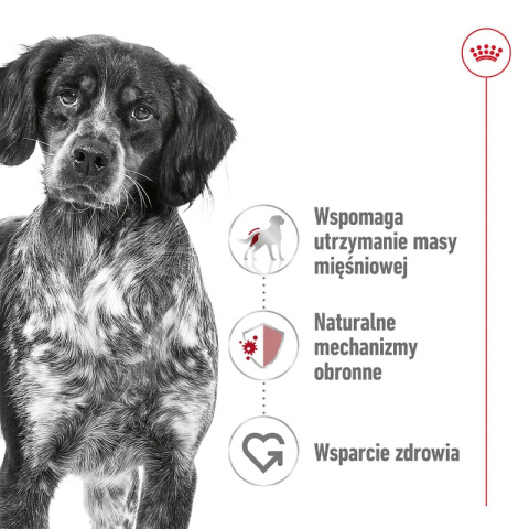 ROYAL CANIN Medium Adult 10kg