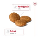 ROYAL CANIN Medium Adult 10kg