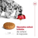 ROYAL CANIN Medium Adult 10kg