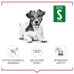 ROYAL CANIN Mini Adult 8kg+1kg
