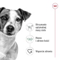 ROYAL CANIN Mini Adult 8kg+1kg