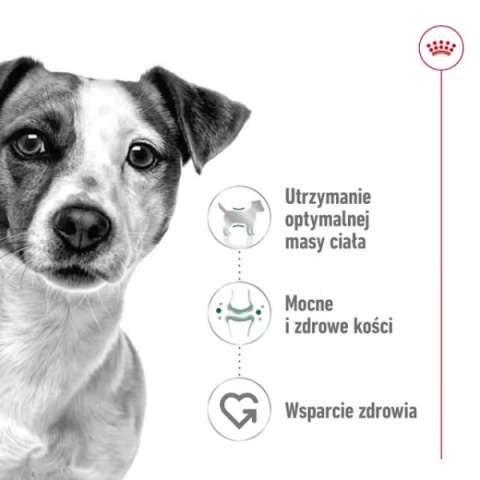 ROYAL CANIN Mini Adult 8kg+1kg