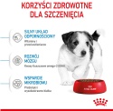 ROYAL CANIN Mini Puppy 8kg