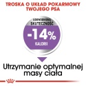 ROYAL CANIN Mini Sterilised 8kg