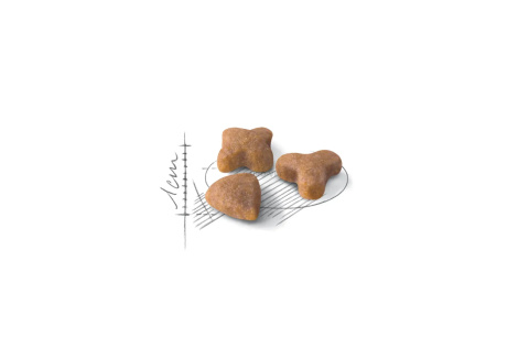 ROYAL CANIN Sensible 10kg