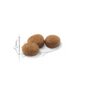 ROYAL CANIN Sterilised 10kg