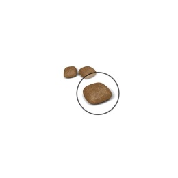 ROYAL CANIN Urinary Care 10kg