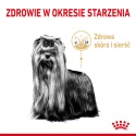 ROYAL CANIN Yorkshire Terrier 8+ 3kg