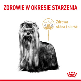 ROYAL CANIN Yorkshire Terrier 8+ 3kg