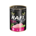 Rafi karma mokra dla kota z indykiem 12x400g