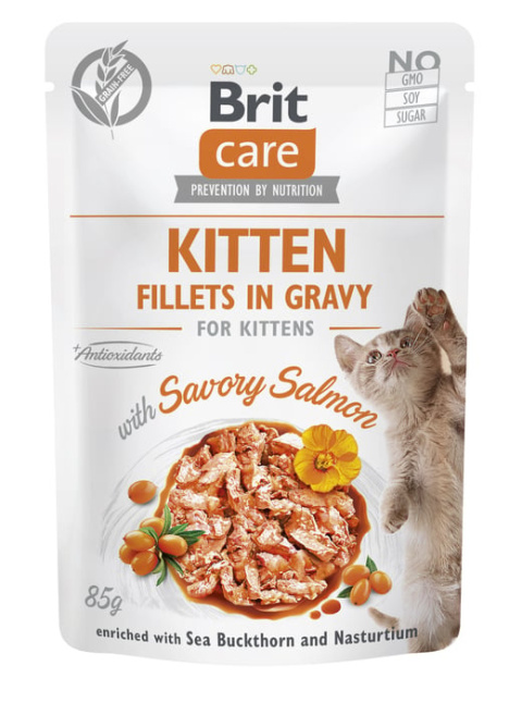 Brit Care karma mokra dla kociąt z łososiem 85g