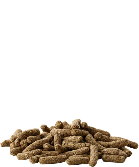 Versele-Laga Complete dla świnki morskiej 500g